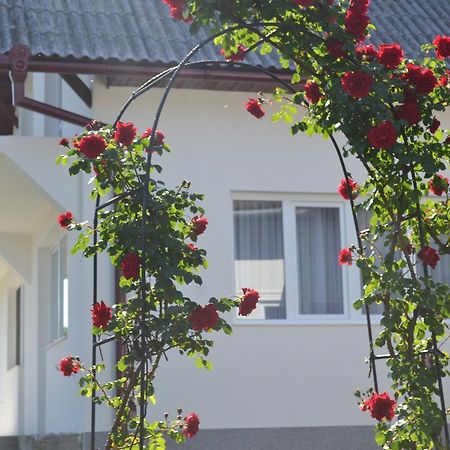 Casa Maria Guest House Prundul Birgaului Екстериор снимка